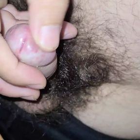 Masturbation of Hairy Cock