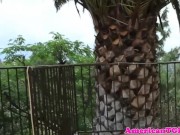 Transbabe jerks cock in bath before pissing
