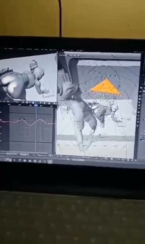 Animation video verification