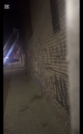 Public Dickflash Compilation