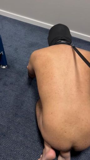 My puppy barks and goes around the room carrying his Pakistani goddess on all fours🐕🥰