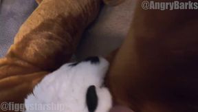 Making the dog pray for it