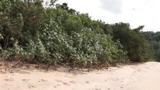 Spermakuva, ilman satulaa – homohuorat naivat perseeseen