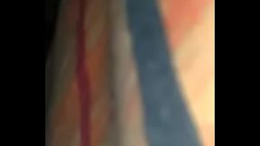 trans activa habish nicoll II