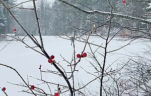 Hardcore tgirl strips and jerks herself in the snow