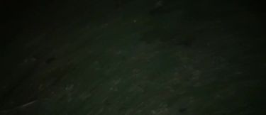 Cumming through your fence TS PublicPrincess risked park jerk off