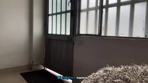 The Neighbor Shoves His Dick up My Ass Because My Husband Can't!