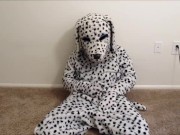 Celebratory Fursuit Jerkoff