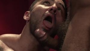 RagingStallion.com: Furry wants wanking