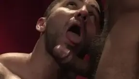 RagingStallion.com: Furry wants wanking