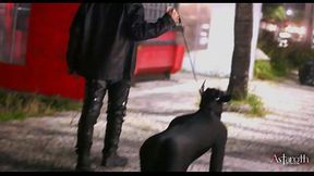 Master takes his pet dog for a walk in the City. P1