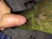 5th cum that day - on the tree