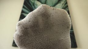 Smell My Stinky Socks, Directly From the Sneakerx, You Foot Sniffer!