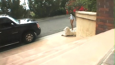 Jamie Elle Takes DP Gangbang from Four Guys