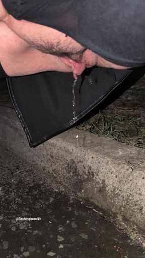 Hot Wife Pissing Outdoors Compilation