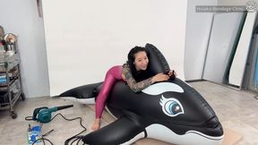 Orca Pool Float Bondage!