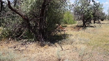Shy  Aboriginal
