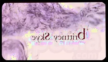 Brittney Skye's Anal Delight Professional video