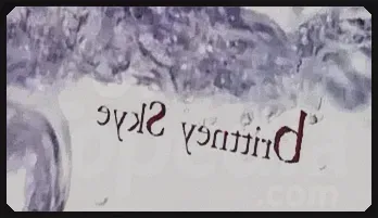 Brittney Skye's Anal Delight