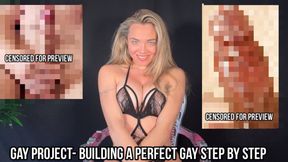 Gay Project - building a perfect gay, step by step