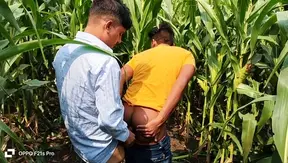 Young Stud Tempts Prof in Golden Cornfield Passion Flick – CollegeCrush 18+