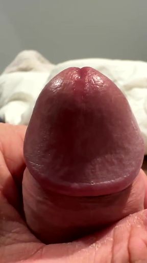 Amateur solo masturbates with big cock