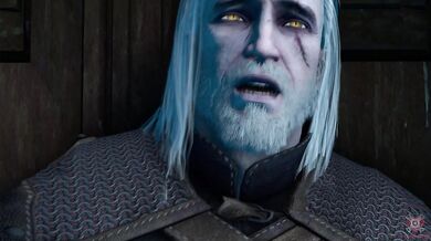 Geralt Visits Skellige video mashup