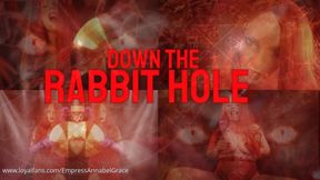 DOWN THE RABBOT HOLE