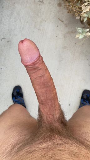 Wagging my big hard cock around outside