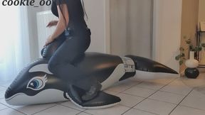 non pop Orca