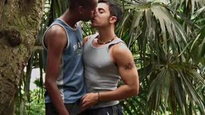 Rodrigo, and Vidal