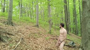 I Chase Him Through the Leaves
