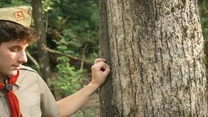 Scout Camp Secrets Unleashed