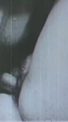 The Gozona Pig Gets Milk