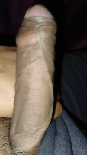 Mota Desi lund