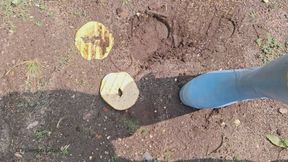 New Hunter Wellingtons Crushing Bagels In The Muddy Garden