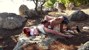 Public cuni in a forest