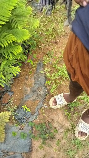 Husband wife full deshi sexy videos