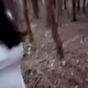 (NEW OnlyFans!) A stroll in the woods..