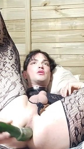Sweet Tranny