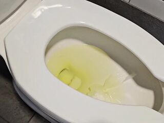 Do U Love most of all Urinals Or Toilets?