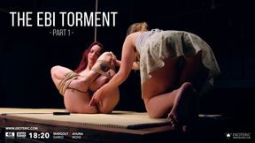 The ebi torment Part 1 (4K): shibari sex