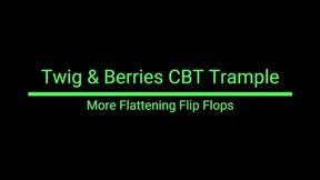 More Flattening Flip Flops