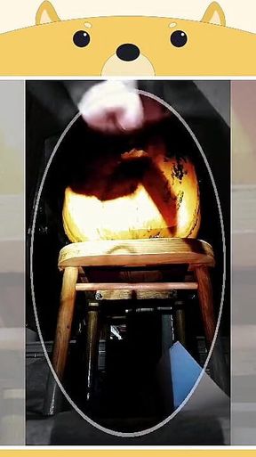 A Fun Pumpkin Fucking Medley!