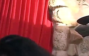 Ice la fox - latin hoochies