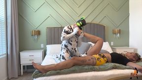 goodboipup s training