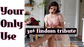 Permission to Stare: Your Money is Your Only Use | Luxe Findom Goddess in Lingerie & Roses