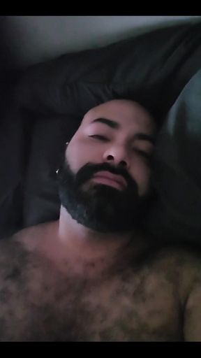 Bear Alone