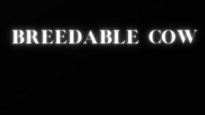 BREEDABLE COW