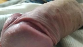 Teen detr&aacute_s de las sabanas, bien duro y grande, &iquest_Que te gustar&iacute_a hacerle?